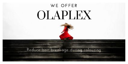 Olaplex Title Image